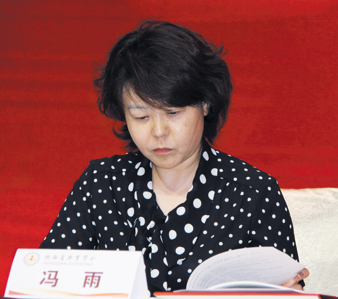 省民政厅社会组织管理局局长  冯  雨 省民政厅社会组织管理局局长  冯  雨
